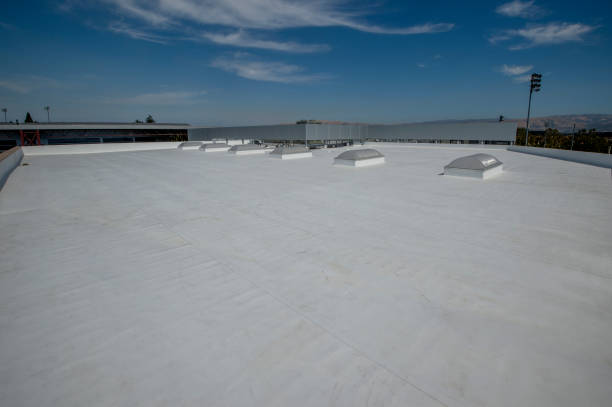 Roof Coating Services in Northglenn, CO